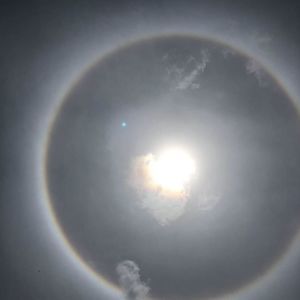 Meet your Posher, Aliado